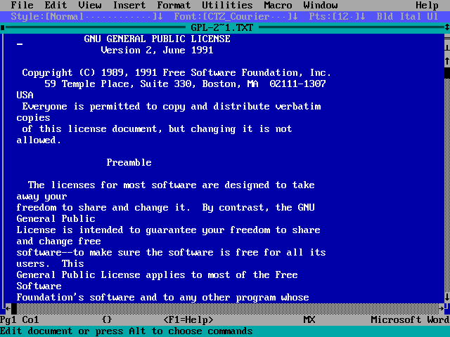 Microsoft Word for MS-DOS using the typical IBM font.